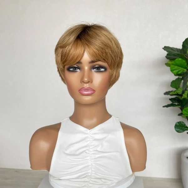 Jen - Human Hair wig Lace Fronts Australia